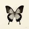 Butterfly III BW Crop Poster Print by Debra Van Swearingen - Item # VARPDX25724